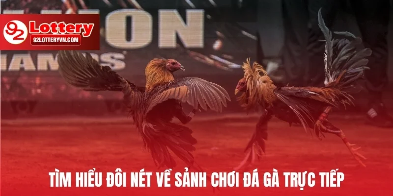 Tìm hiểu đôi nét về sảnh chơi đá gà trực tiếp