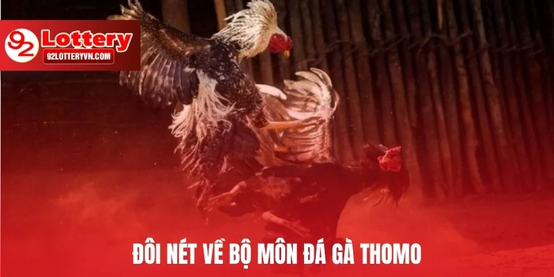 Đôi nét về bộ môn đá gà Thomo