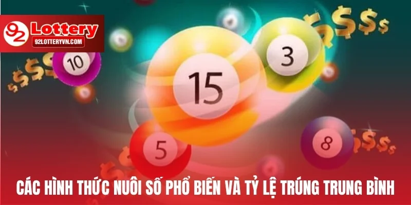 Các hình thức nuôi số phổ biến và tỷ lệ trúng trung bình tại 92Lottery