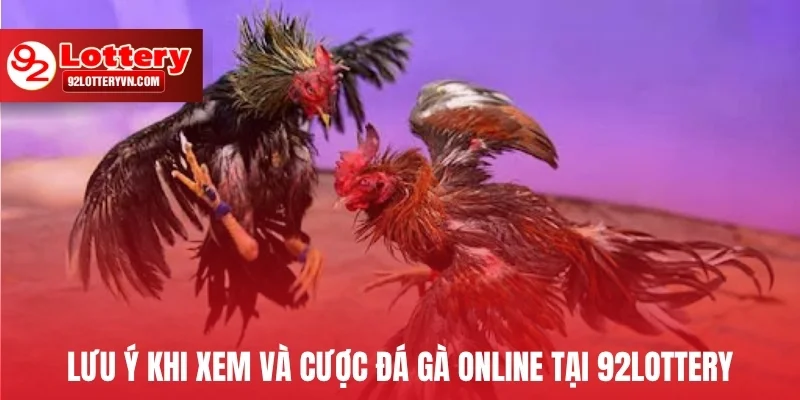 Lưu ý khi xem và cược đá gà online tại 92Lottery