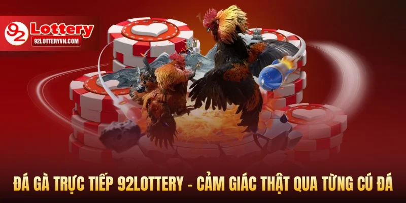 Đá gà trực tiếp 92lottery
